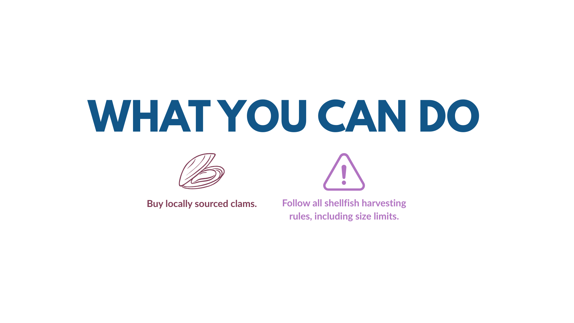clam restoration