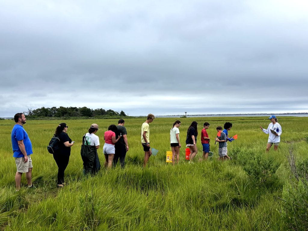students cleaning up the marsh
