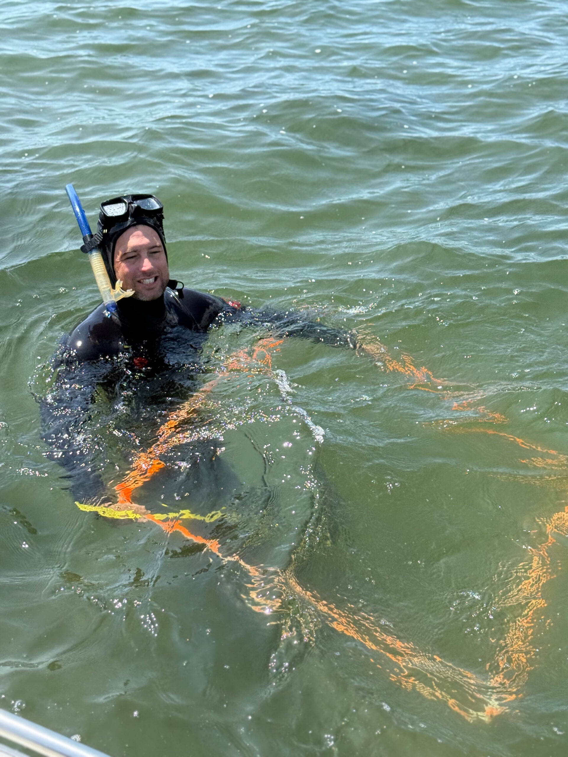 jj seagrass sav submerged aquatic vegetation