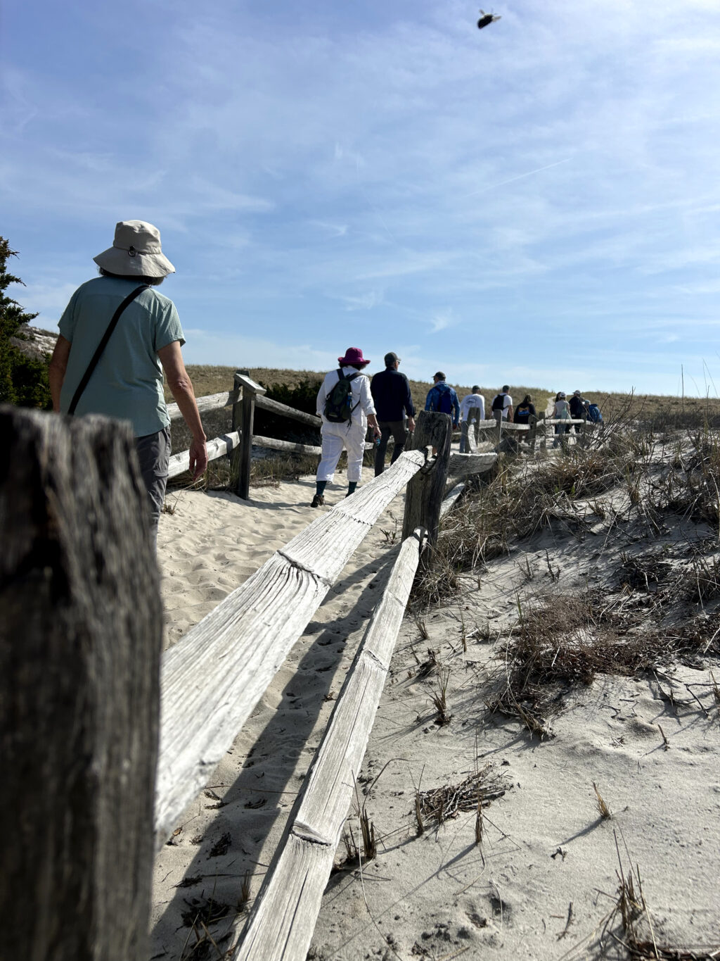 The 2026 Barnegat Bay Master Naturalist Class img 4346