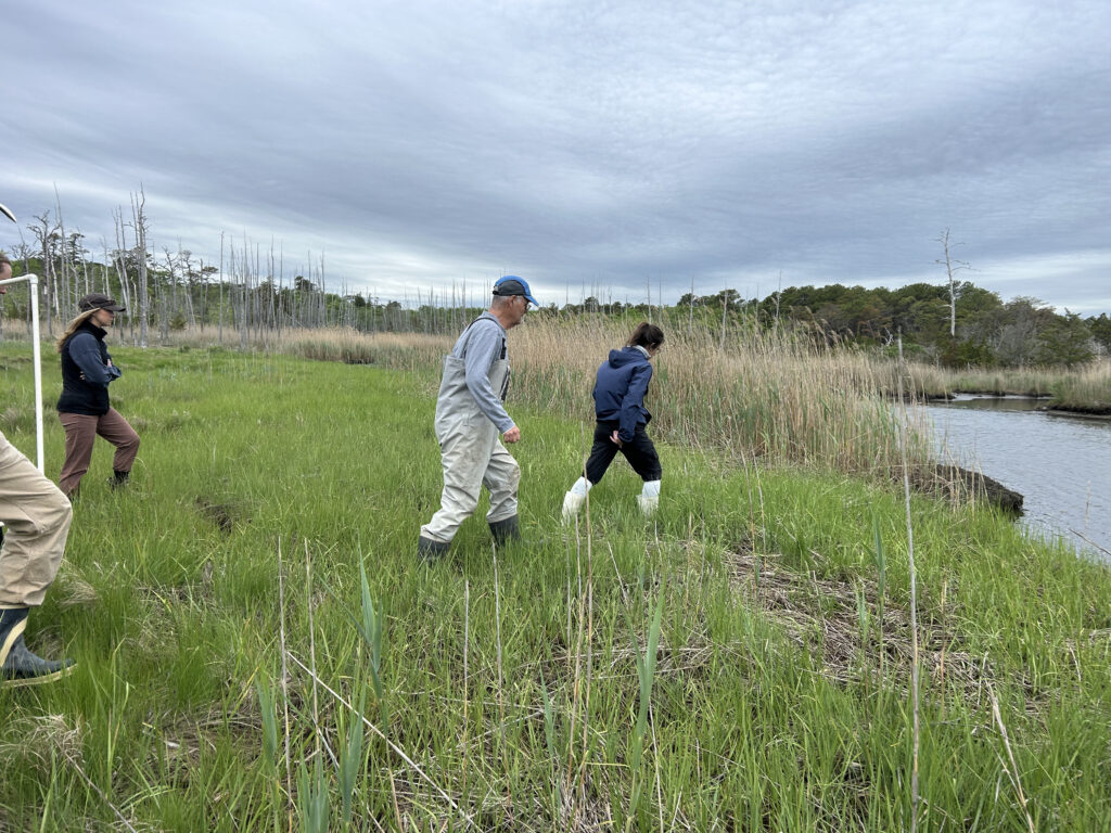 The 2026 Barnegat Bay Master Naturalist Class img 5719