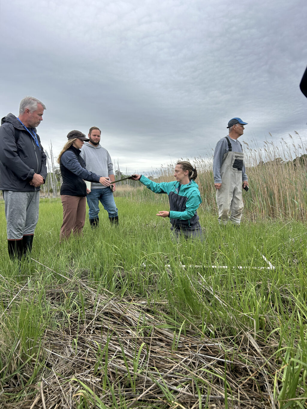 The 2026 Barnegat Bay Master Naturalist Class img 5727