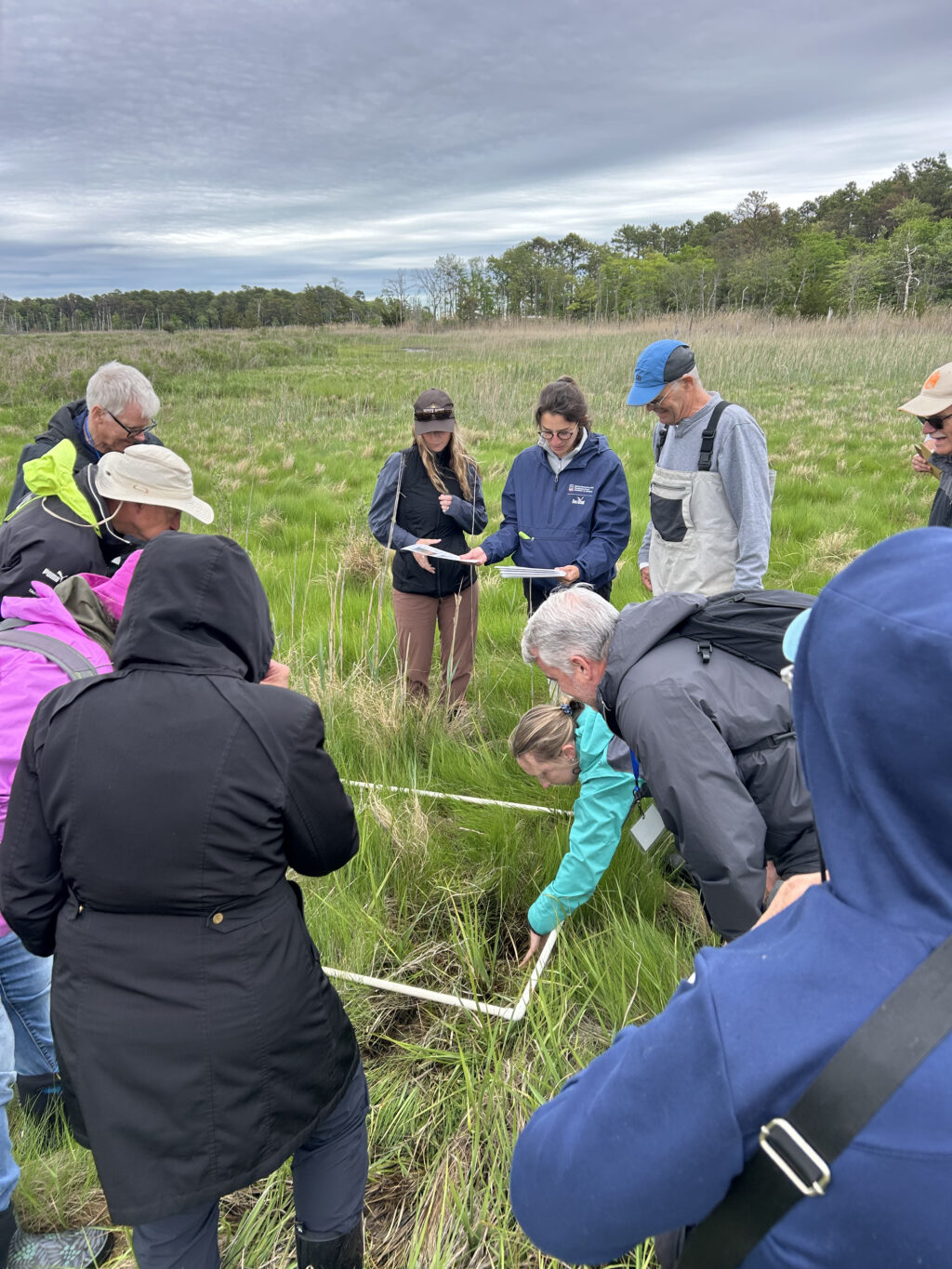 The 2026 Barnegat Bay Master Naturalist Class img 5735