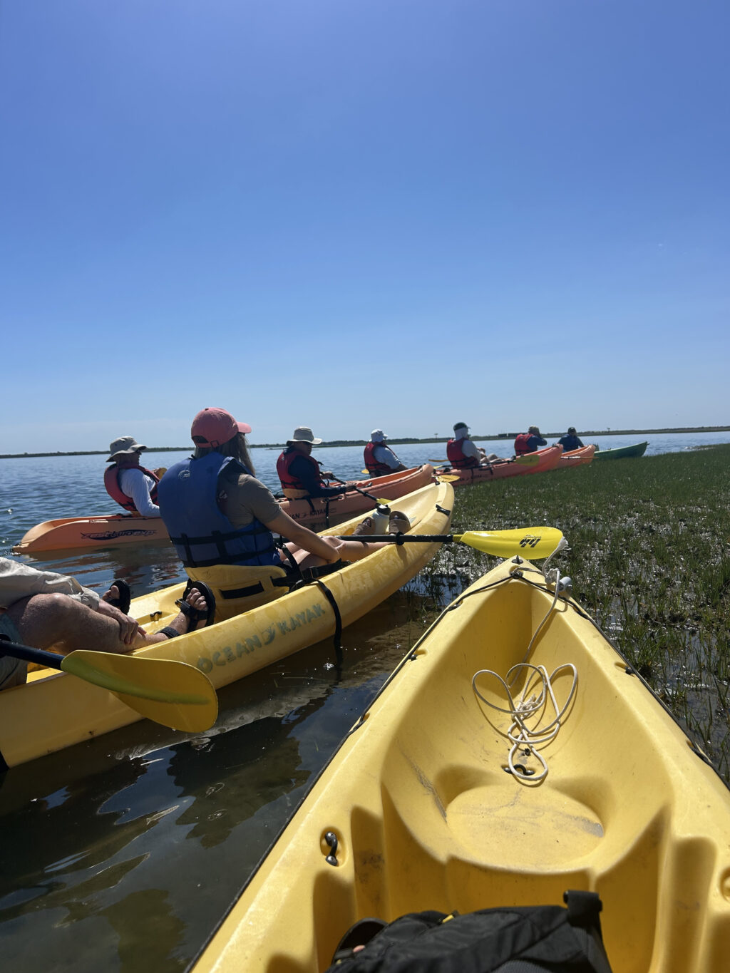 The 2026 Barnegat Bay Master Naturalist Class img 5918