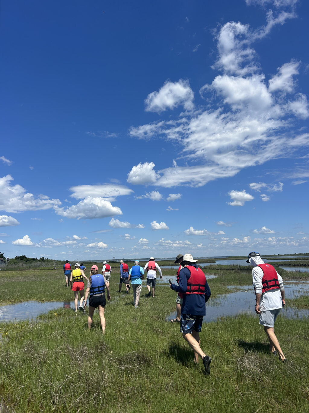 The 2026 Barnegat Bay Master Naturalist Class img 5968
