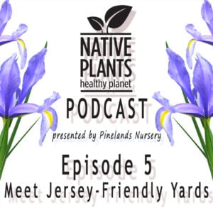 Native Plants Podcast-meet JFY