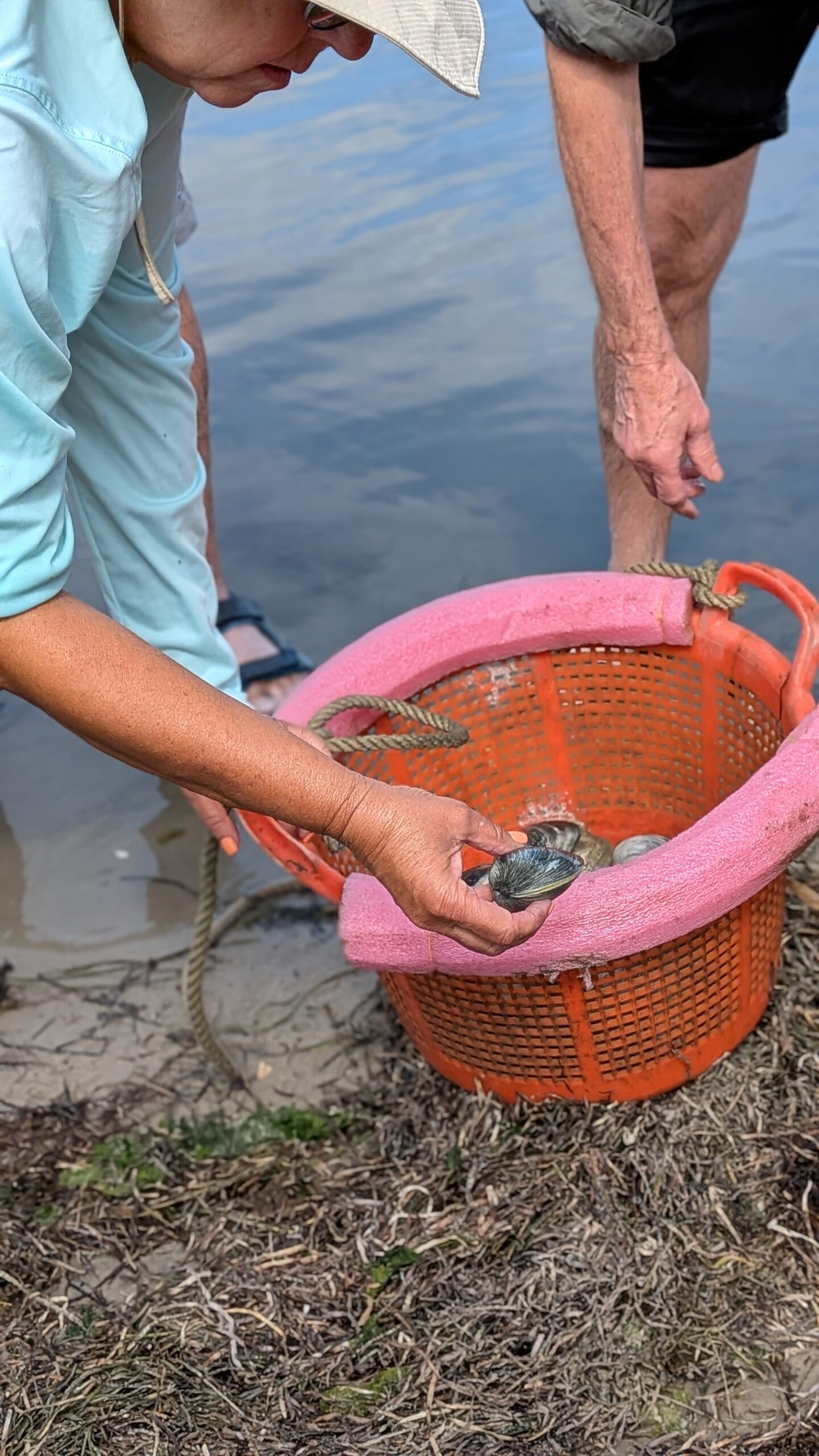 Catching and observing bivalves
