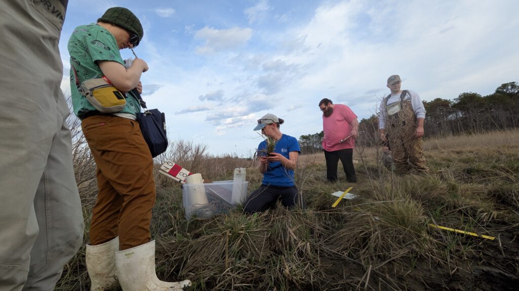 Students Take to the Wetland to Learn the Importance of Monitoring PXL 20260415 213624307 1024x576