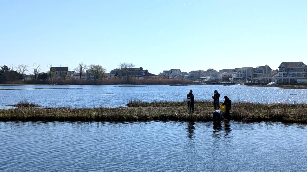 Field crew using an RTK GPS at Nellie Bennet Marsh
