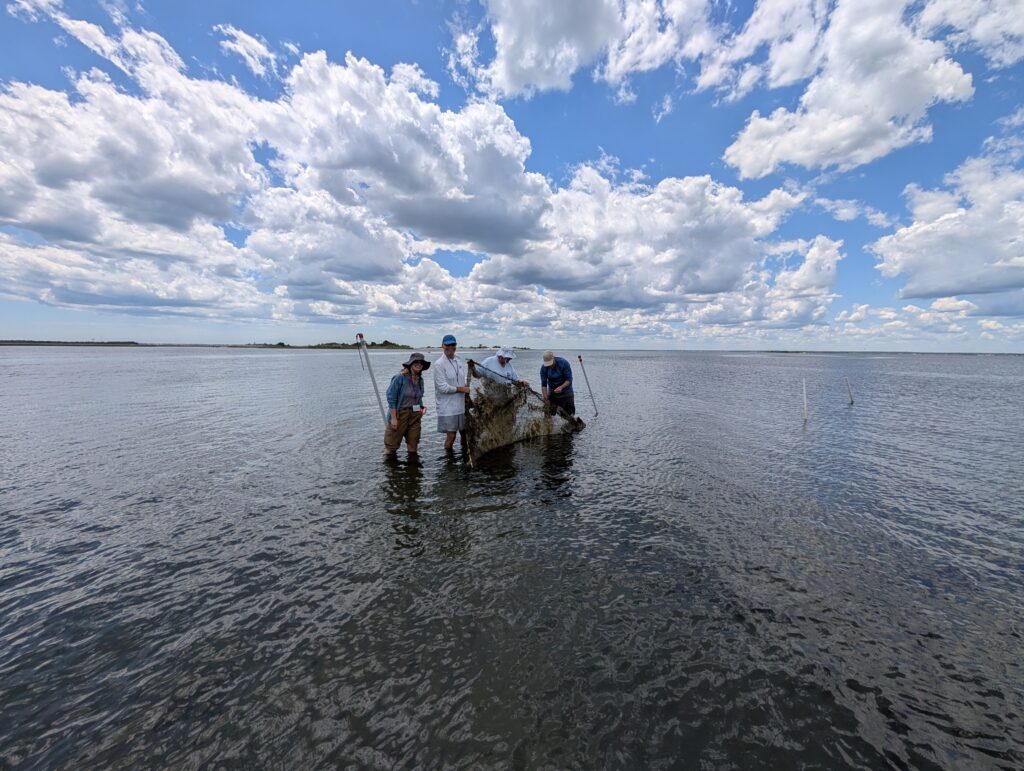 The 2026 Barnegat Bay Master Naturalist Class pxl 20260528 162643061 mp