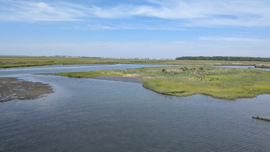 marsh over barnegat bay
