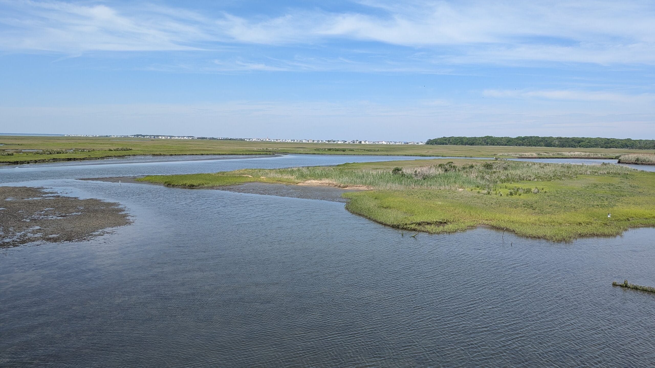 marsh over barnegat bay