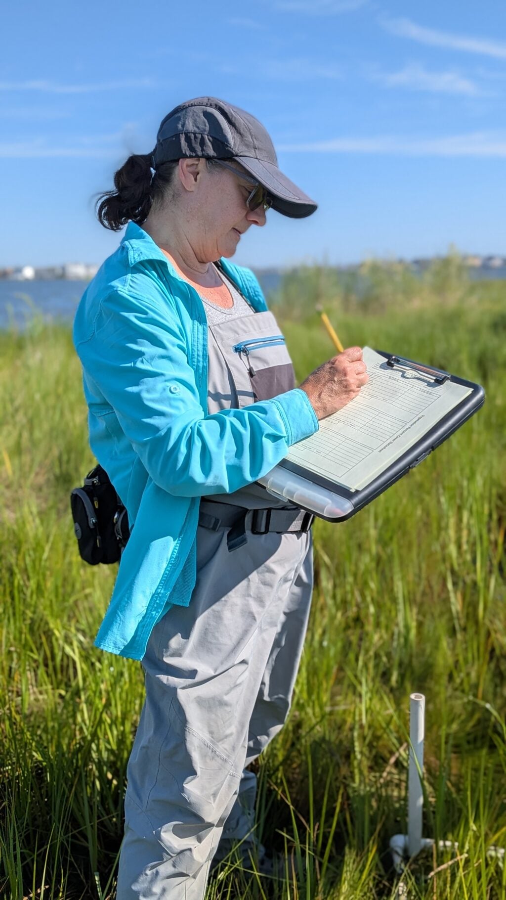 Restoration Efforts Continue with Pre-Implementation Monitoring at Cattus Island County Park pxl 20260804 131314298 portrait