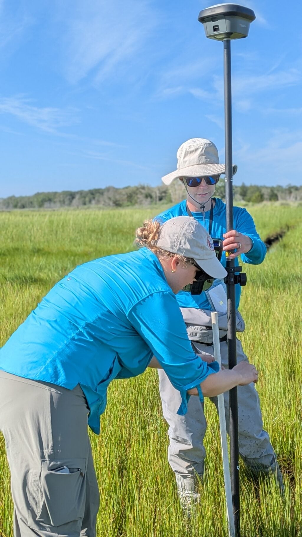 Restoration Efforts Continue with Pre-Implementation Monitoring at Cattus Island County Park pxl 20260804 131917712 portrait