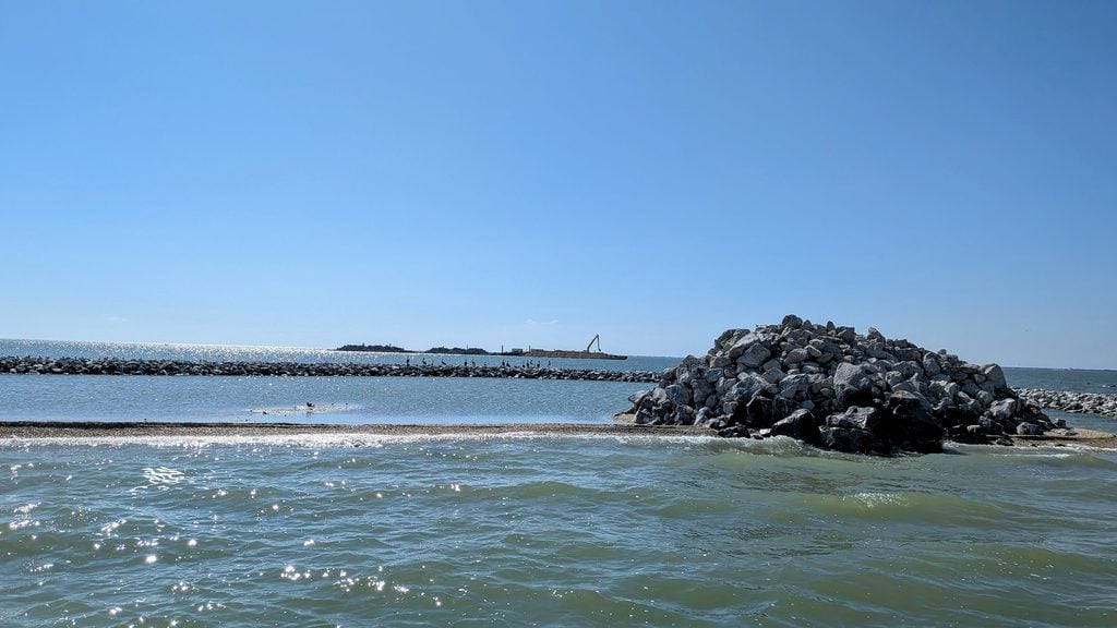Pelicans resting on Deadman's Island as the team works to rebuild what was lost to erosion.