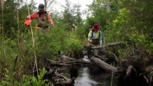stream crossing