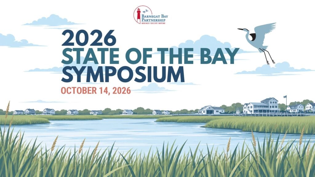 state of the bay background slides