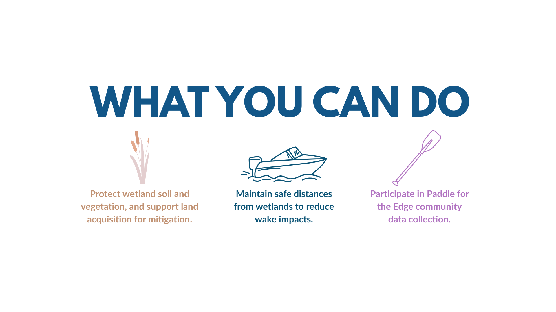 wetland protection