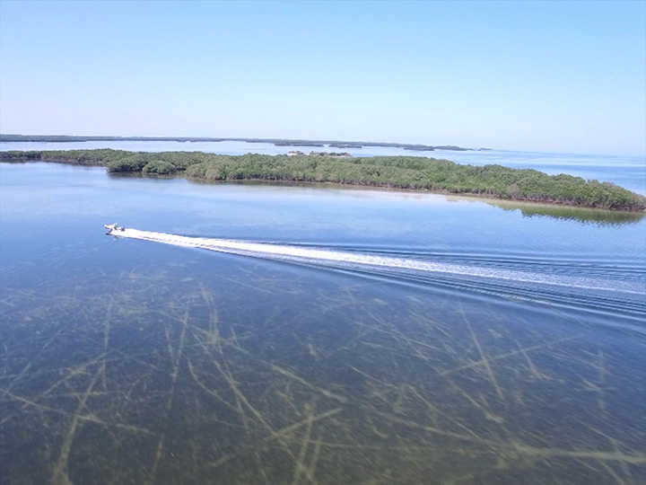 Trim Up and Slow Down: Protecting Barnegat Bay's Seagrass Beds Boat On Plane Scars Jeff Hall Rs2