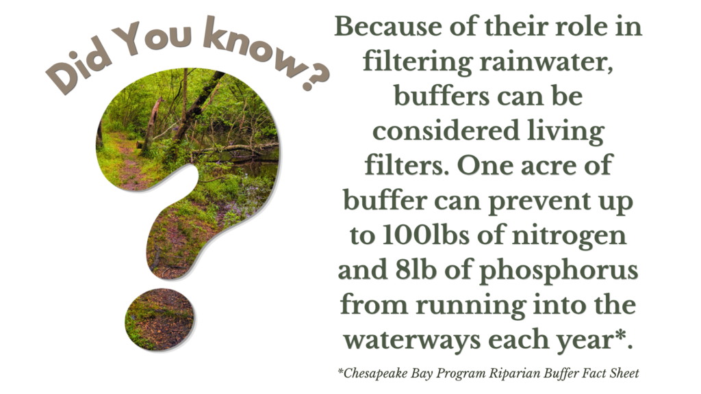 didyouknow1