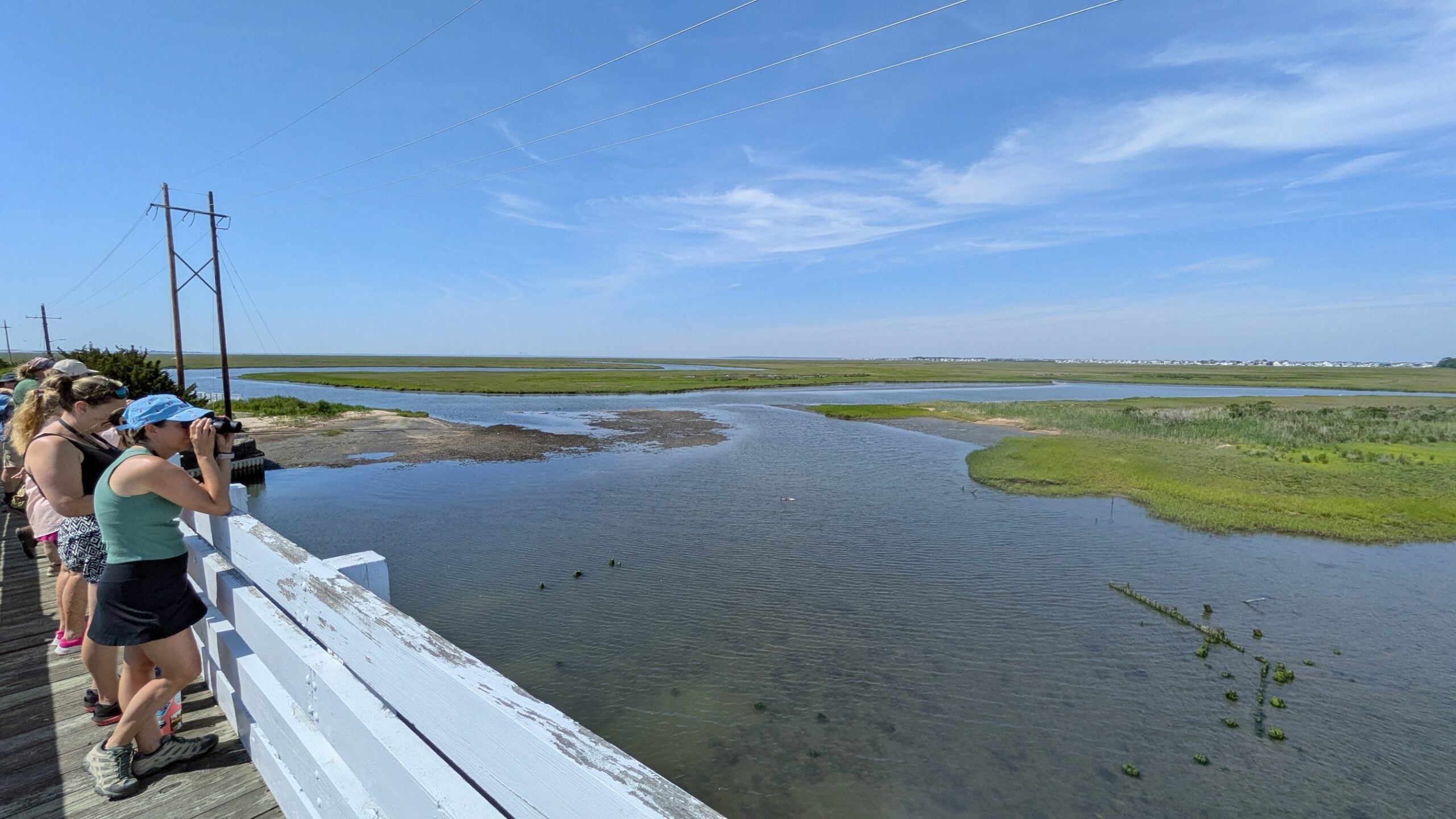 leh little egg harbor