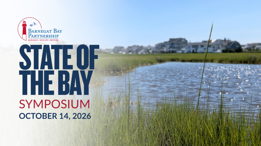 state of the bay (1)