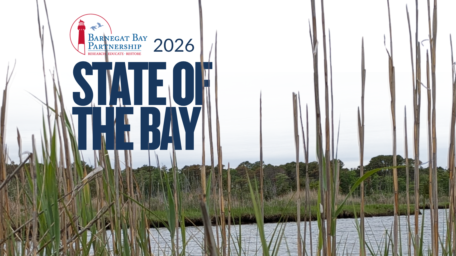 state of the bay